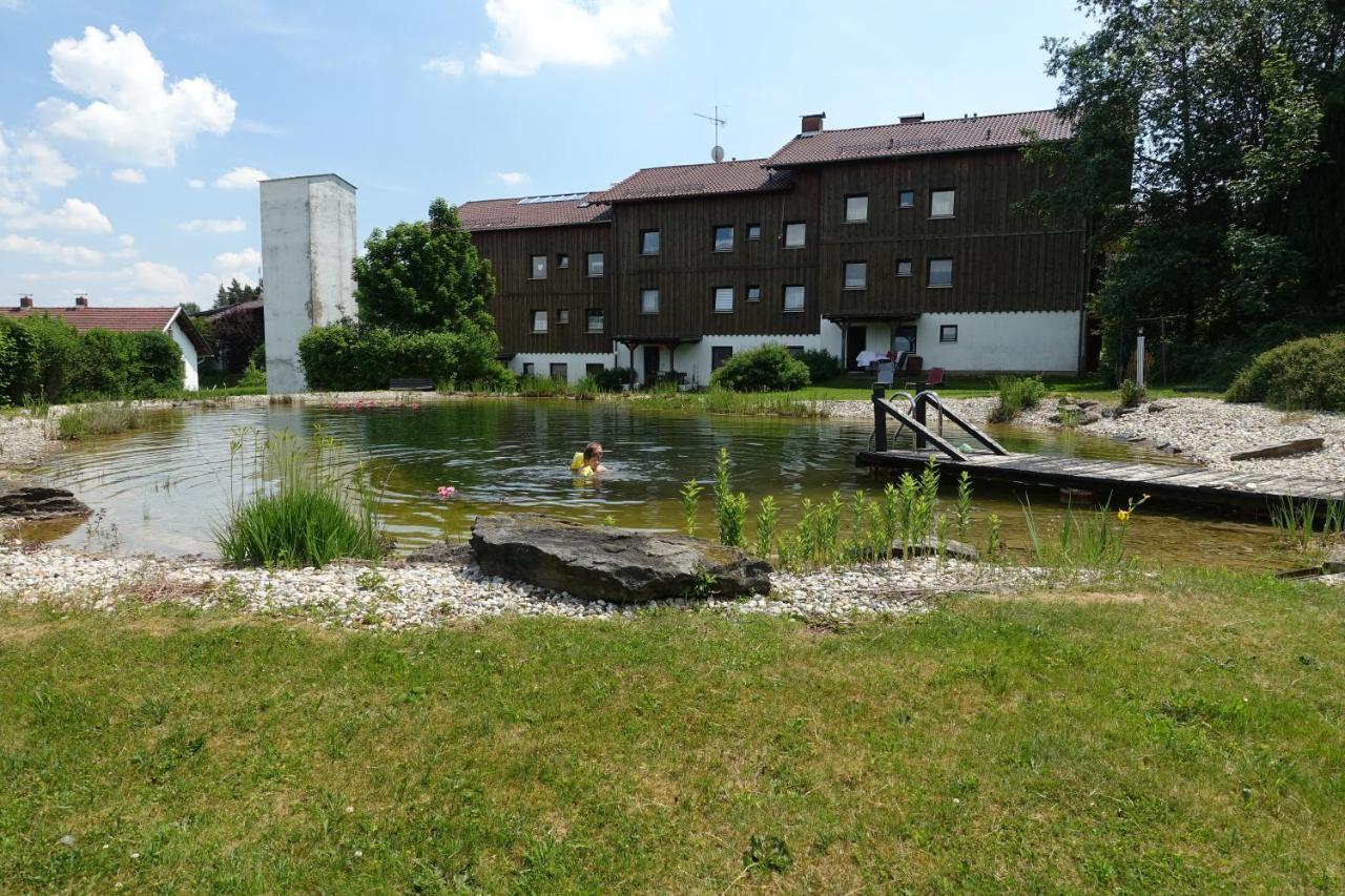 Am Hermannsbachl Bischofsmais Exteriör bild