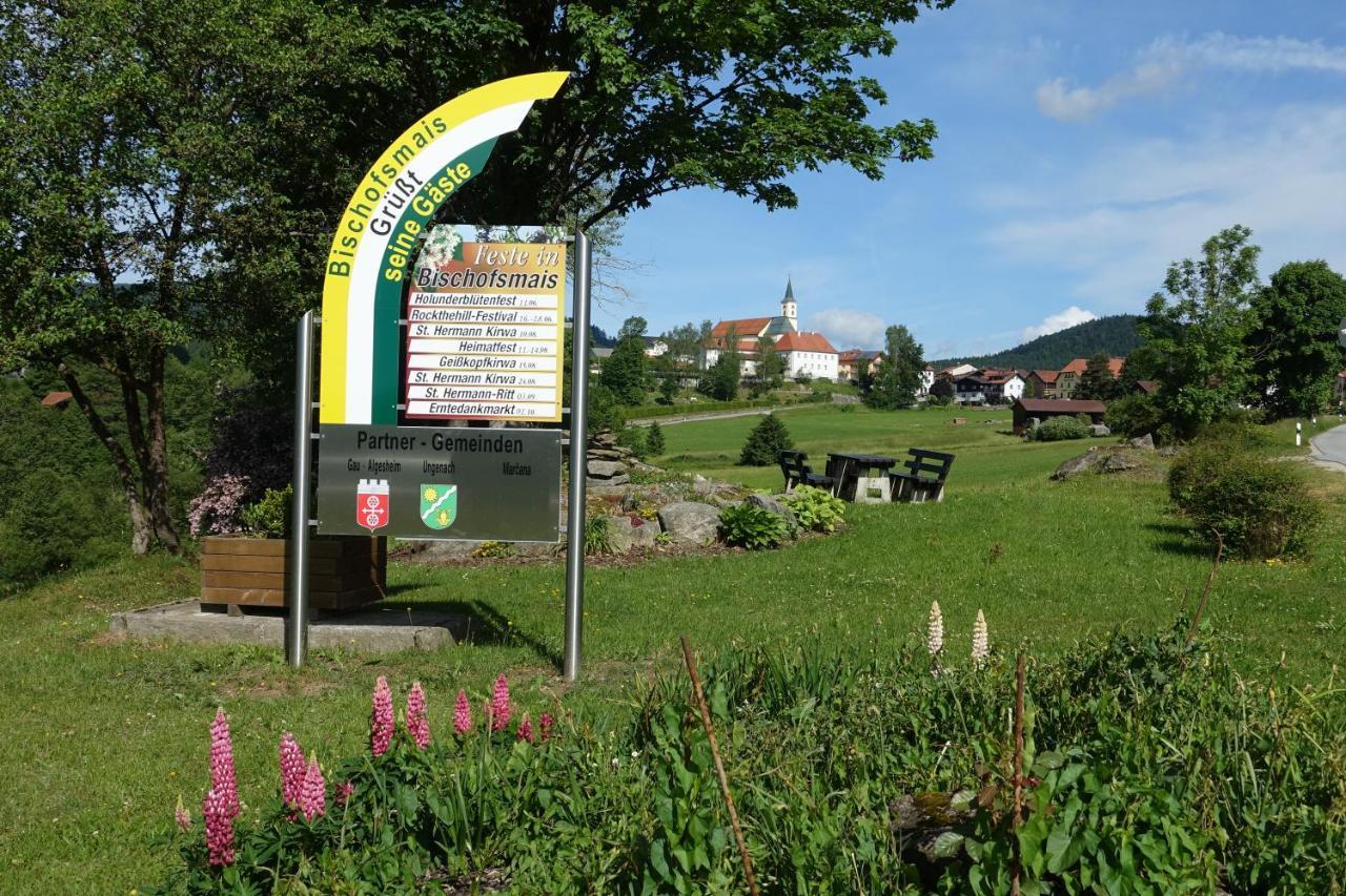 Am Hermannsbachl Bischofsmais Exteriör bild